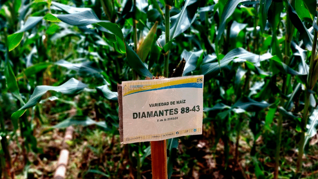 Expo-Agro Nicaragua productiva 200