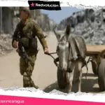 CUANDO LOS BURROS SE CONVIERTEN EN“UNA AMENAZA PARA LA SEGURIDAD”…EL EJÉRCITO DE OCUPACIÓN LANZA SU GUERRA CONTRA LA RESISTENCIA DE GAZA CON RUEDAS DE MADERA Y CUATRO PATAS:
