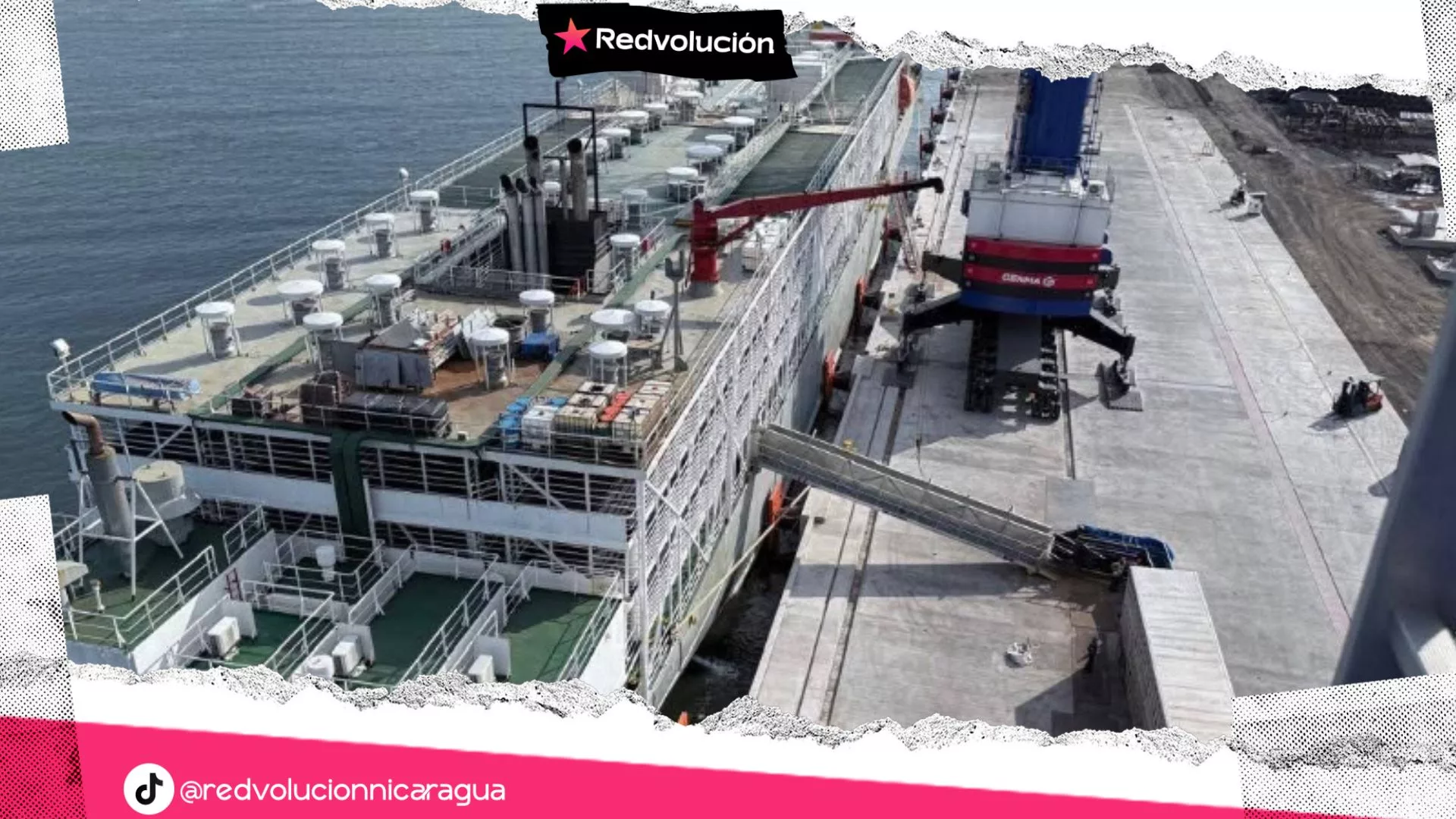 Buen Gobierno garantiza exportación de novillo de engorde a México