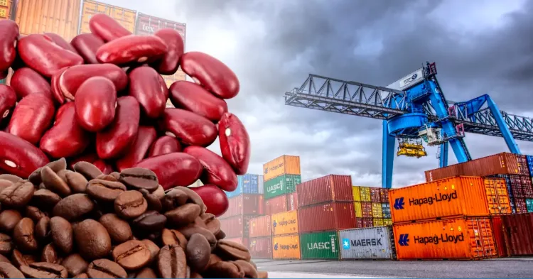 BCN informa aumento de exportaciones y moderado crecimiento de importaciones