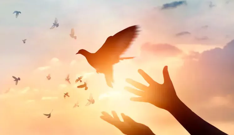 Este 2 de febrero se conmemora en Nicaragua el Día Nacional de la Reconciliación y la Paz