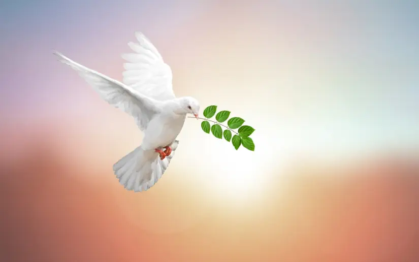 Mensaje de reconocimiento y gratitud de un sacerdote