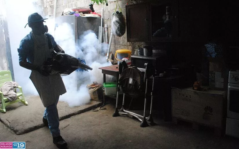 Brigadas de salud fumigan más de 400 viviendas en el barrio Salomón Moreno