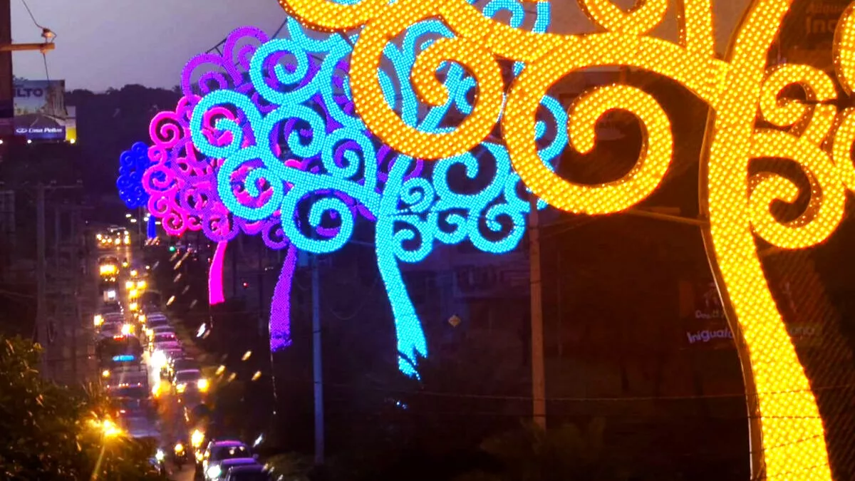 Árboles de la Vida honrarán memoria de Tomás Borge Martínez y Mártires de la Revolución