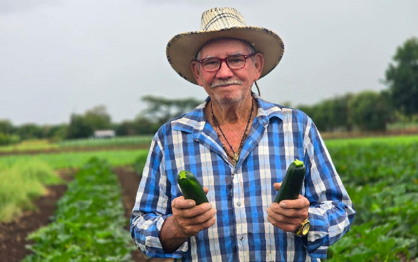 Cultivo de pepino aporta al desarrollo social y la seguridad alimentaria