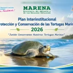 MARENA promueve la protección de las tortugas marinas con jornada técnica de sensibilización