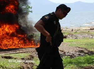 Autoridades policiales ejecutan inceneración de 475 kilos de droga ocupados en Río San Juan