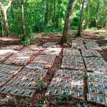 Operación Dignidad Nacional permite importante incautación de droga en Río San Juan