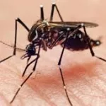 Epidemiología al sábado 13 de junio 2026