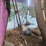 Brigadas del MINSA refuerzan acciones preventivas contra los zancudos en el barrio Ariel Darce