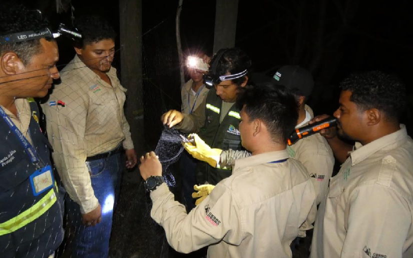 MARENA fortalece monitoreo de la biodiversidad en el Complejo Volcánico Cerro Negro