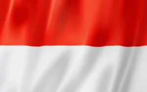 Copresidentes de Nicaragua envían mensaje de condolencias al Presidente de Indonesia