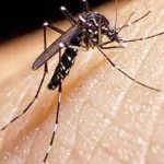 Situación Epidemiológica al Sábado 29 de Agosto