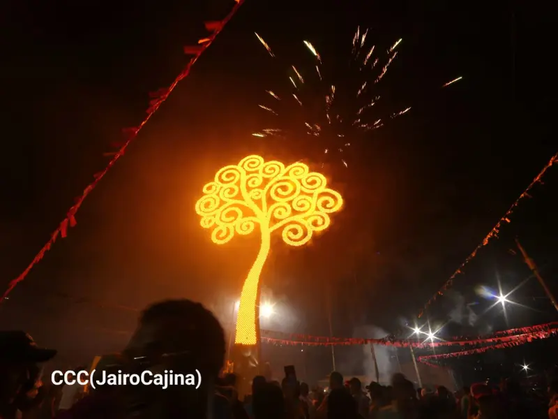 Encienden Árbol de la Vida en homenaje a los Héroes y Mártires de la Gesta Heroica de Pancasán
