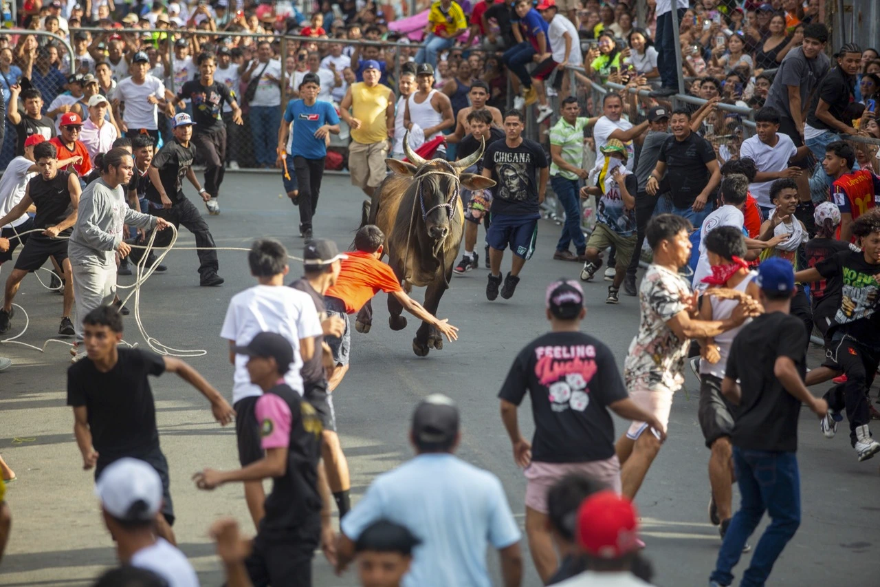 San José Oriental celebra entre tradición y algarabía las Vacas Culonas y la corrida de toros