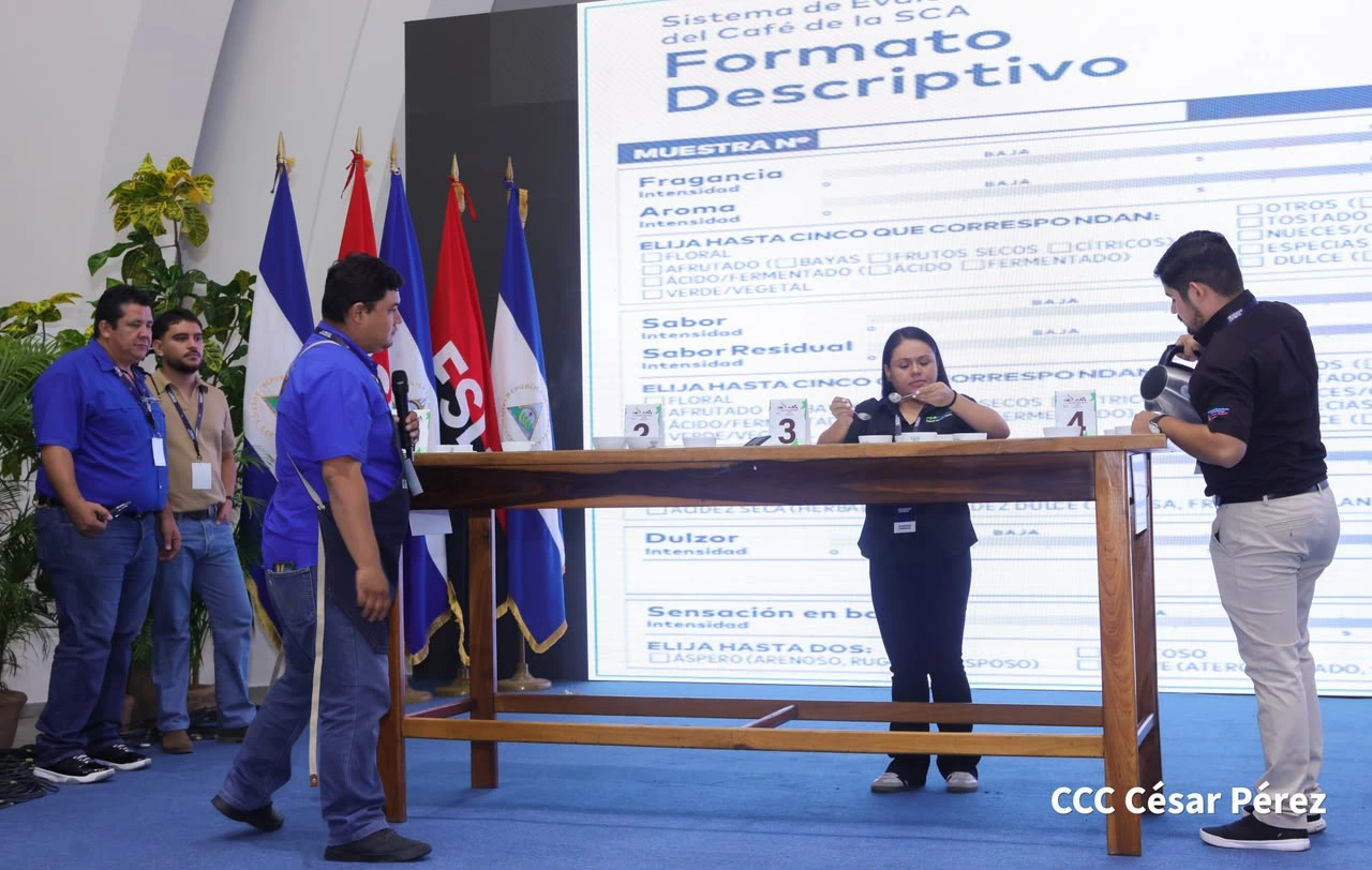 CONATRADEC destaca avances técnicos y comerciales de la caficultura nicaragüense