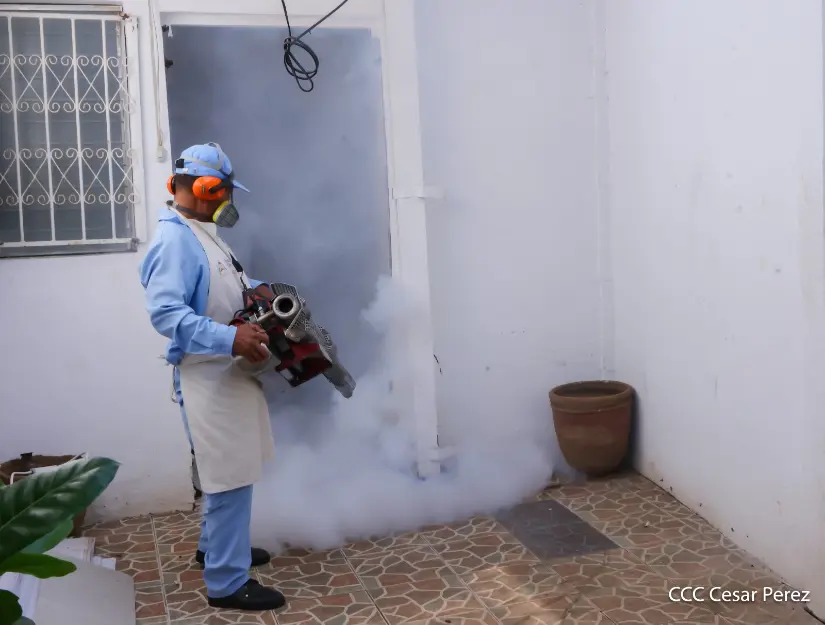 MINSA realiza jornada de fumigación y eliminación de criaderos de zancudos en el barrio Martha Quezada